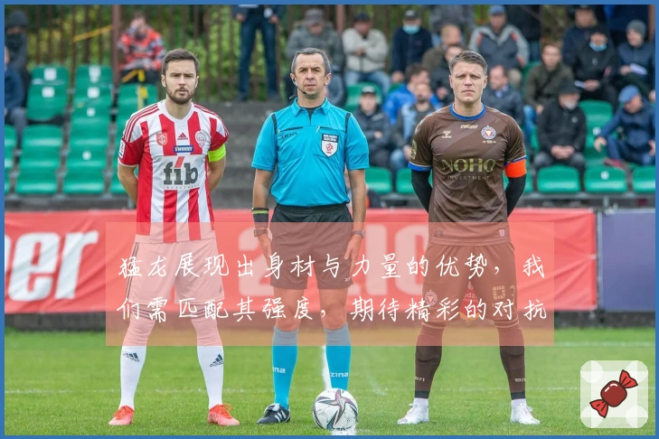 猛龙展现出身材与力量的优势，我们需匹配其强度，期待精彩的对抗